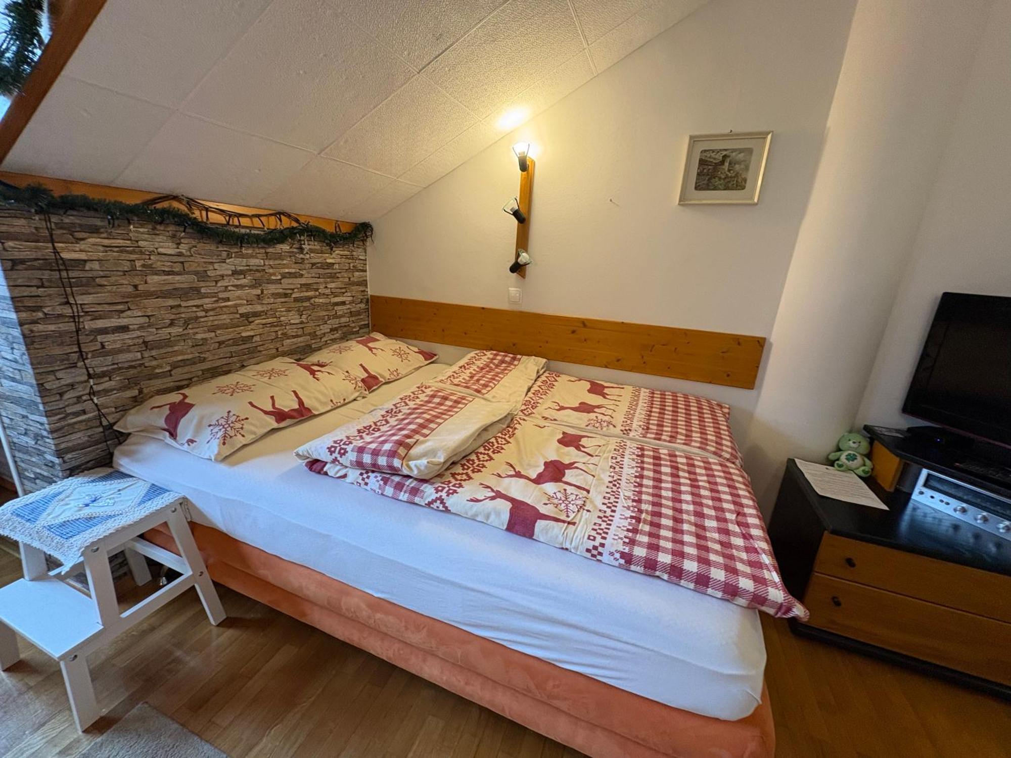 Apartma Snezko Kranjska Gora Εξωτερικό φωτογραφία